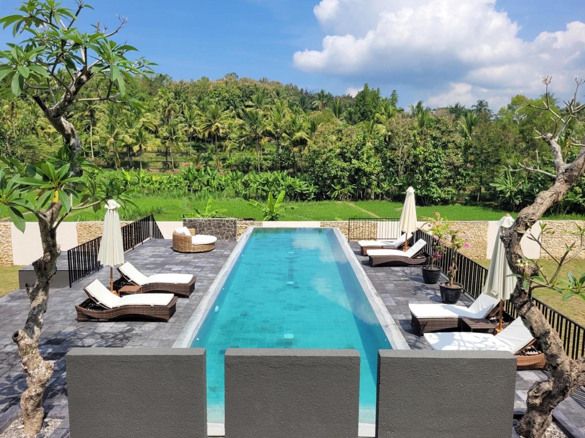 Norwegia - Pool With Panorama Rice Field View Villa